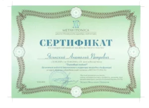 Metavitonica